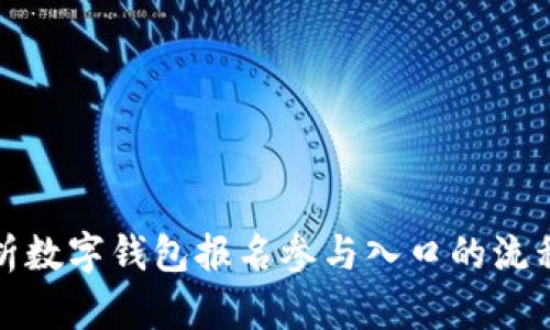 全面解析数字钱包报名参与入口的流程和技巧