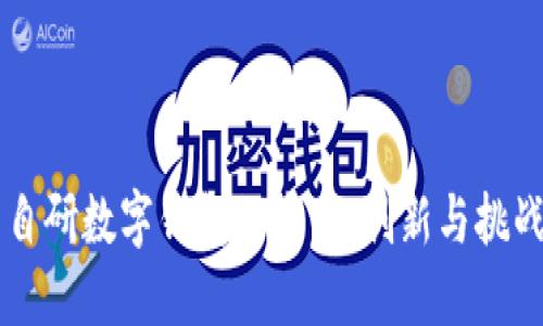 自研数字钱包的未来：创新与挑战