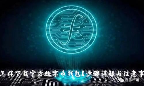 : 怎样下载官方数字币钱包？步骤详解与注意事项