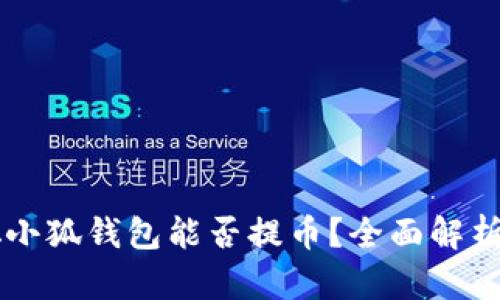 中本聪小狐钱包能否提币？全面解析与指南