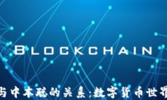 探寻小狐钱包与中本聪的关系：数字货币世界的
