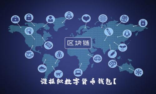 谁操纵数字货币钱包？