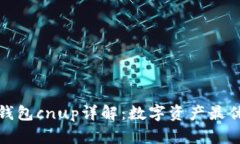 小狐钱包cnup详解：数字资