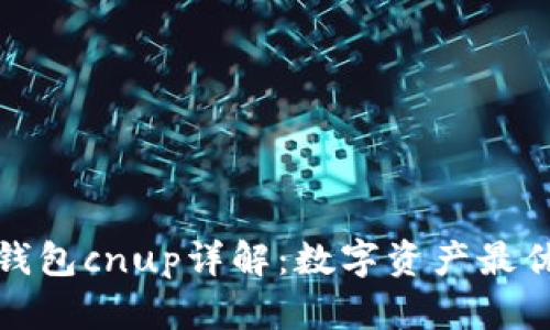 小狐钱包cnup详解：数字资产最优选择